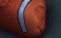NemoDead emote