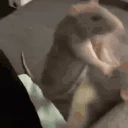 RatsFight emoji