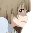 NAMMERSINCHAT emote
