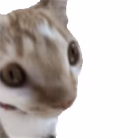 sop emote