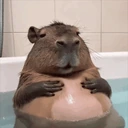 sitting emoji