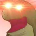 wook emote