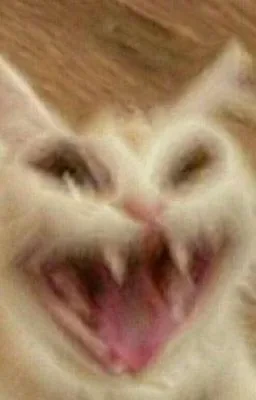 cat_ahhaha emote