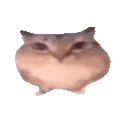 wowo emote