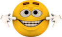 EmotiForcedSmile emote