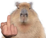 capyfk emoji