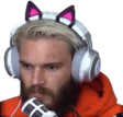 bridge emote
