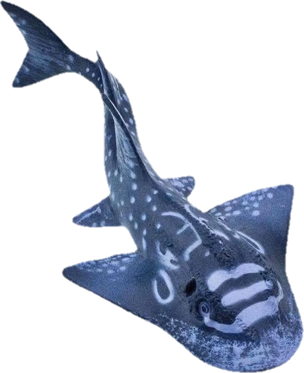 shark emote