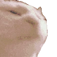 CatJamDisco emote