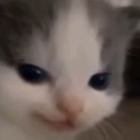 CE_Smug2 static emote