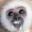 Eatin emote