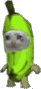 CatBananaParty emote
