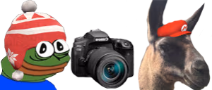 PerugeTakingPhotoALama emote