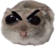 ohAngry emote