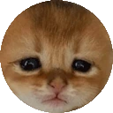 brahcircle emote
