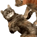 BRUH emote