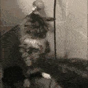 SadCat emote