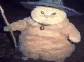 fatasswizardcastsnecromancy emote
