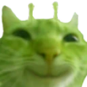 smorp emote