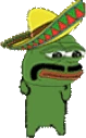 SalsaPls emoji