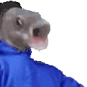 OOOOBanger emote