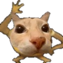 dosepot emote