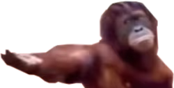 GIVE emote