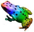 ranbowfrog emote