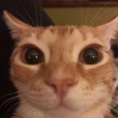 glungus emote