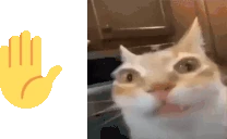 Question emote