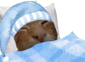 buhdge emote