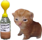 jenkembert emote