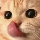 CatYum emoji