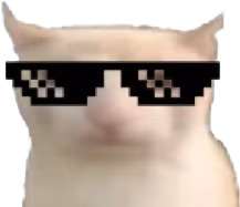 Cool_bruh_cat emote