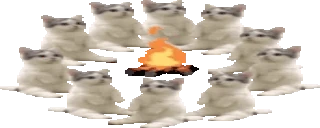 catsittingverycomfortablearoundacampfirewithmorefriends emoji