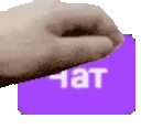 PETTHECHAT emote