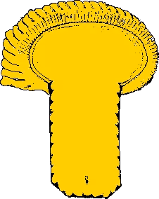 ColonelFrenchArmy1813 emote