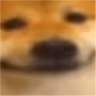doge_near emote