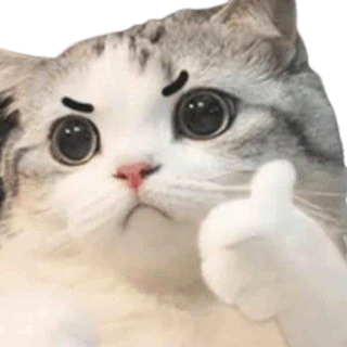 Cat_thumbs_up emote