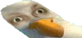 ptaku emote