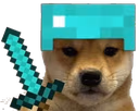 Minecraft_dogo emote