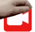 PETTHESTREAMER emote