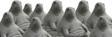 WeBeSittin static emote