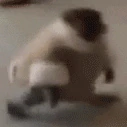 4u_monke emote