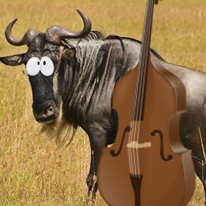 bewildebeest avatar