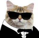 BasedCat emote