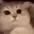 Cat_Smile emote
