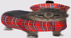 szkotik emote