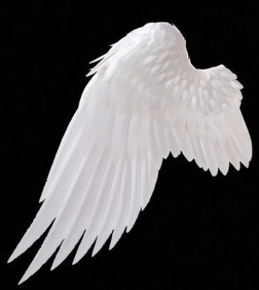 wingL static emote