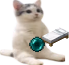 catsittingverycomfortablewaitingforperch emote